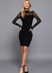 Mesh Sweater Mini Dress