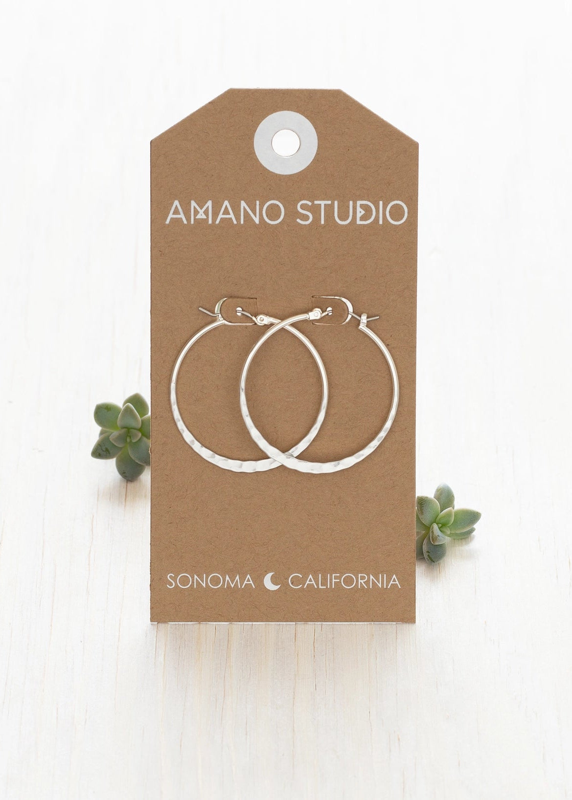 AS-Silver Hoops
