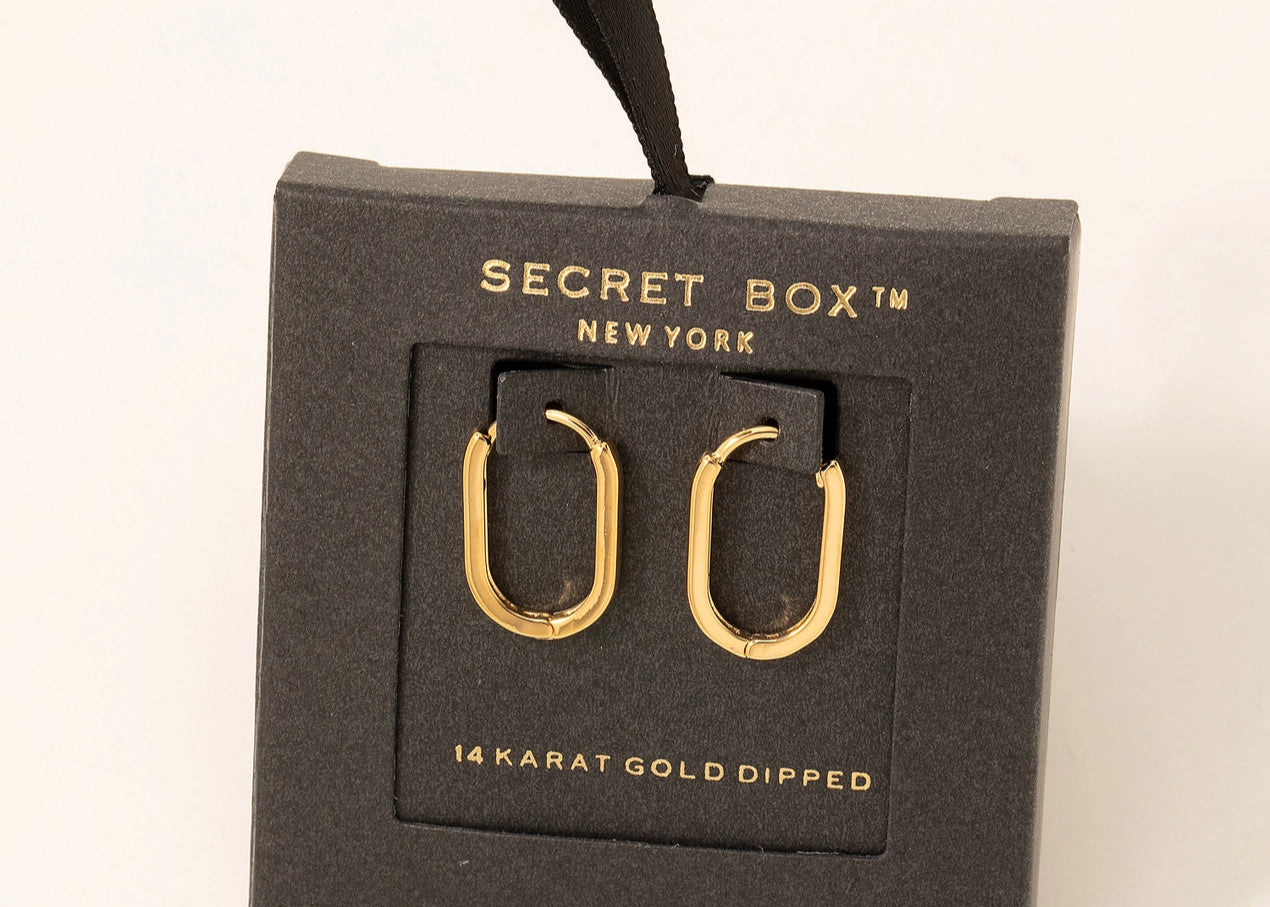 Oval Latch Hoop Earrings