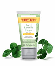 Burt's Bee Cream