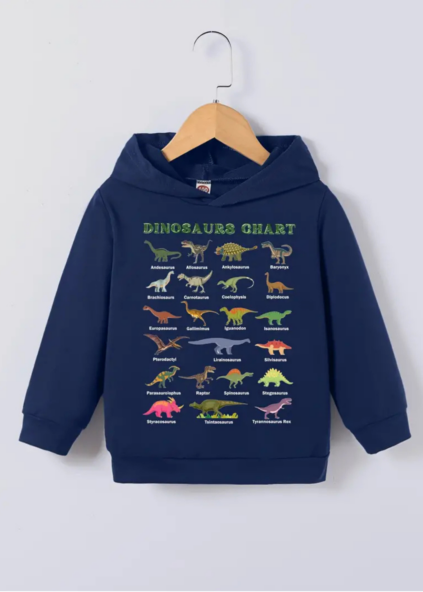 Dinosaur Sweatshirt